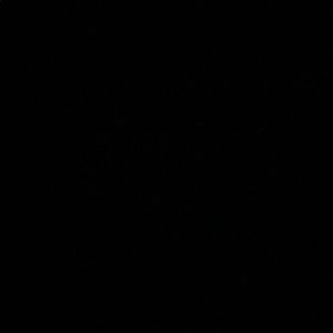 Meet your Posher, Zachary